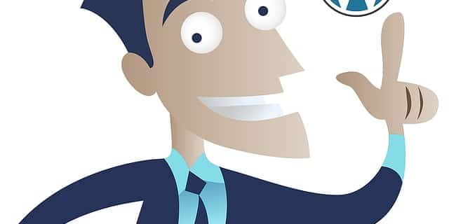 come scoprire tema e plugin di un sito wordpress